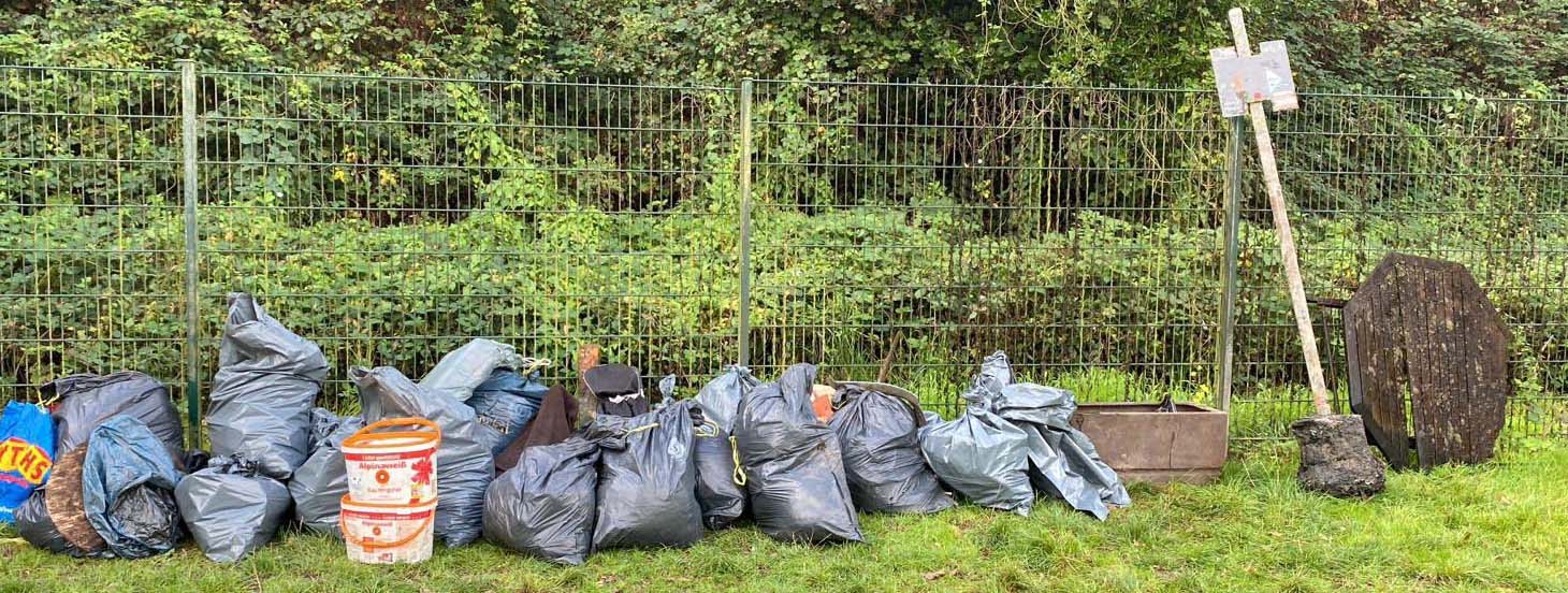 ruhrcleanup1